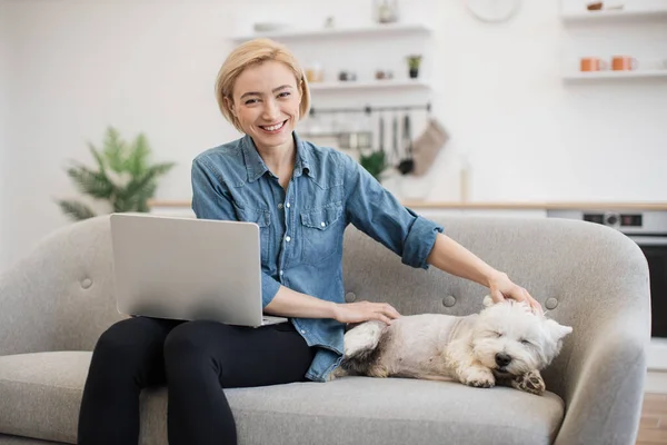 Cheerful slim woman in denim shirt fondling cute Westie while sitting on couch with laptop in dining room. Smiling pet owner searching information via internet with small terrier as companion.