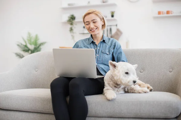 Delighted caucasian lady in denim shirt watching video on laptop while white furry pet resting beside owner on couch. Beautiful blonde woman enjoying movie time with canine friend on weekend.