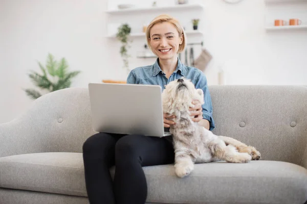 Smiling adult woman and sleepy purebred Westie posing with computer on laps in comfortable room with soft couch. Charming short-haired blonde scrolling digital photos from last birthday party.