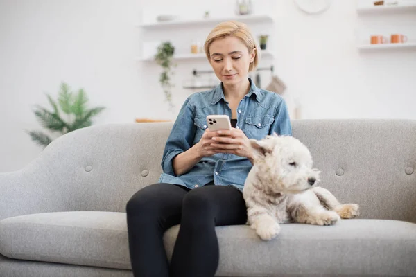 Attractive young woman in cozy outfit holding smartphone while her small pet having rest by her side on gray sofa. Active pet owner sharing online video of great outdoor fun with furry friend.