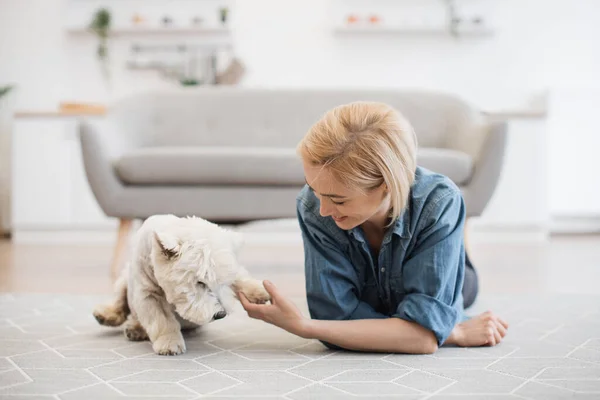 Full length view of attractive blonde in denim wear leaning on elbows while holding white dogs leg in hand. Well-behaved West Highland White Terrier giving paw to female owner on carpet of apartment.