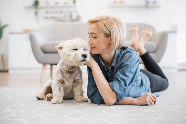 Caring adult female examining dogs coat while lying on room flooring near terrier in spacious house. Stylish young pet owner planning grooming day for her beloved canine companion.