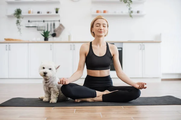 Relaxed lady in black clothes exercising half lotus pose with fingers in gyan mudra while curious terrier sitting on yoga mat. Athletic blonde woman meditating together with furry friend at home.