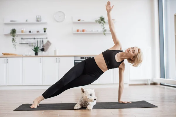 Happy Caucasian Woman Improving Balance Side Plank Pose Canine Companion — Stock Photo, Image