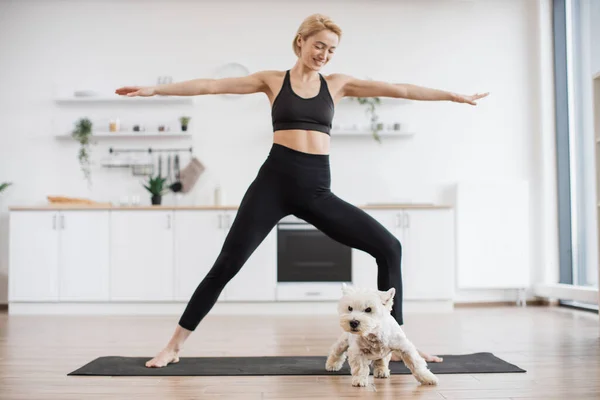 Full length view of beautiful lady and adorable dog both standing in Warrior II Pose on yoga mat in kitchen interior. Modern dog yoga workout at home improving heart health of animal and pet owner.