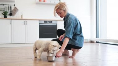 Kot gömlekli, yoga pantolonlu, bakımlı genç bir kadın. Beyaz tüylü evcil hayvan için kahvaltıda köpek kasesi koyuyor. Sevecen kadın sahibi, iç mekandaki küçük hayvana en iyi bakımı sağlıyor..
