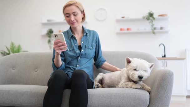 Εστιάστε Στο Αξιολάτρευτο West Highland White Terrier Απολαμβάνοντας Γυναίκες Ιδιοκτήτες — Αρχείο Βίντεο