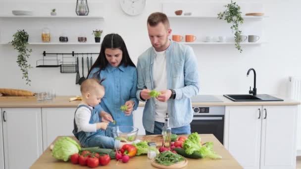배우자는 그릇에 자녀는 토마토를 생각을 건강에 식사를 기대하는 부모와 — 비디오