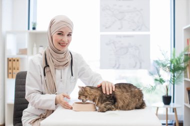 Türbanlı ve laboratuvar önlüklü neşeli Arap veteriner portresi. Hayvan hastanesindeki kanepede kedi hastayla poz veriyor. Gülümseyen genç bir kadın kedisini ovalarken evcil hayvanı kasede yemek ile ödüllendiriyor..