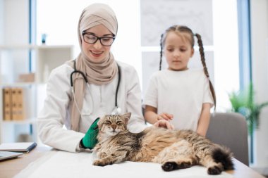 Müslüman doktorun fırçalı eldiveniyle yaptığı tımar işlemi sırasında ahşap masada dinlenen sakin yetişkin kedi. Günlük giysiler içinde beyaz bir kız evcil hayvanları okşayarak türbanlı kadınlara yardım ediyor..