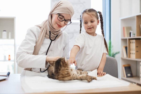 Muslim lady in lab coat listening to cats lungs with stethoscope while caucasian girl fondling pet during check-up. Confident vet in hijab searching for abnormalities in animals breathing.