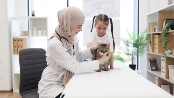 Side View Arab Képzett Női Állatorvos Simogató Engedelmes Macska Sikeres — Stock videók