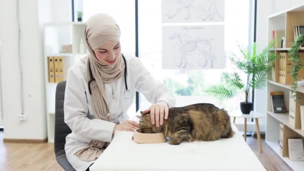 Mulher Focada Lenço Cabeça Muçulmano Tradicional Alimentando Animal Doméstico Sofá — Vídeo de Stock