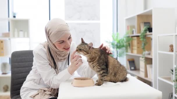 Hermosa Mujer Hijab Bata Laboratorio Acariciando Lindo Gato Adulto Mientras — Vídeo de stock