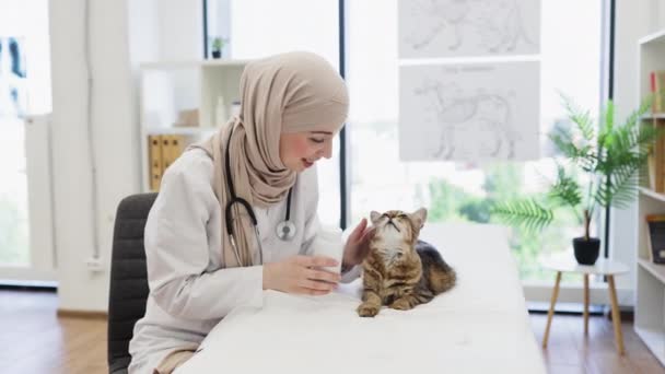 ヒジャーブとラボコートのポジティブな若い女性は 試験室で落ち着いた猫をリラックスしながらパームにカプセルを注いでいます 動物クリニックの毛皮患者に寄生虫予防プロトコルを調整するアラビアの獣医 — ストック動画
