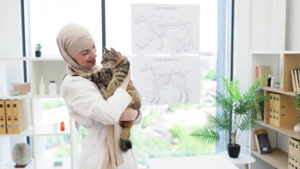 Side View Gentle Female Headscarf Lab Coat Holding Domestic Cat — Stock Video