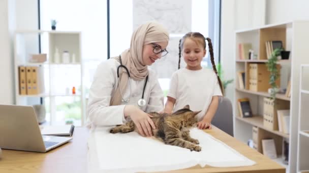 優しくペットの頭を気遣う子供の間 慎重に猫をテーブルの上に置くメガネで楽しいイスラム教徒の女性 動物クリニックへの毎年恒例の訪問で重篤な健康をチェックするヘッドスカーフの獣医師 — ストック動画