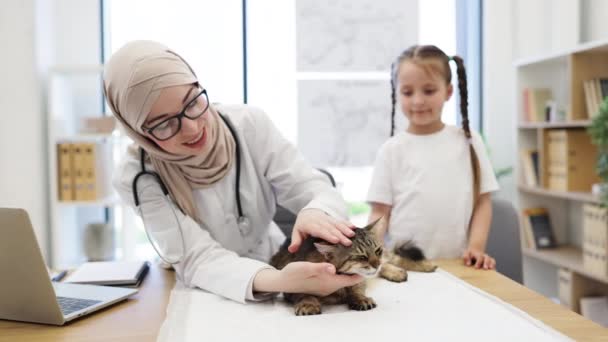 Skup Się Młodej Muzułmance Sprawdzającej Usta Kotów Wizycie Weterynarza Małym — Wideo stockowe