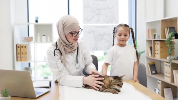 ヒジャーブのイスラム教徒の女性の肖像画と 医師の職場で大人の猫とポーズする慎重な子供の微笑み 現代の獣医の練習のノートパソコンの近くの木の机でリラックスする平和な毛皮の友人 — ストック動画