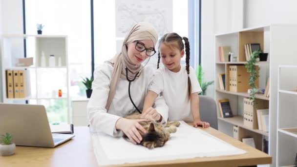 Laborköpenyes Muszlim Hölgy Sztetoszkóppal Hallgatja Macskák Tüdejét Miközben Kaukázusi Lány — Stock videók