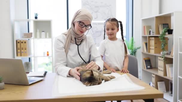 動物診療所の医師室で成熟した猫を観察しながら ヒジャーブや眼鏡で陽気な女性 プロセスからペットをそらすことによってアラビアの専門家を助けるコーカサスプリアンガール — ストック動画