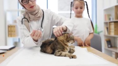 Başörtülü Müslüman kadın kedinin derisine iğne batırırken Kafkasyalı gardiyan arkada hayvan için endişeleniyor. Hayvan bakımı uzmanı kedilere iğne yoluyla sıvı ilaç veriyor..