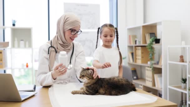 ヒジャーブのポジティブなアラビア人女性は医師のオフィスで慎重なガールと猫を愛しながら薬瓶を保持しています フェリン プラクティショナー 大人の動物にノミ防止プロトコルを適応させる — ストック動画