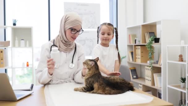 Pozitív Arab Hidzsábban Gyógyszeres Üveggel Kezében Miközben Macskát Simogat Kaukázusi — Stock videók