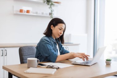 Rahat giyimli barışçıl Vietnamlı kadın modern mutfağın yaratıcı iç mekanında kablosuz teknolojiler kullanıyor. Rahat iş kadını, şirket e-posta hesabını içerideki taşınabilir bilgisayarla kontrol ediyor..