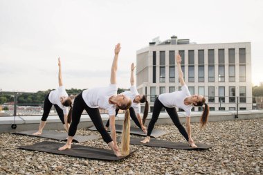 Yoga minderlerinde ayak mesafesini uzatırken el ayıran gençleri yakından izleyin. Cazibeli beyaz kadınlar gökyüzüne bakarken odak ve dengeyi geliştiriyorlar..