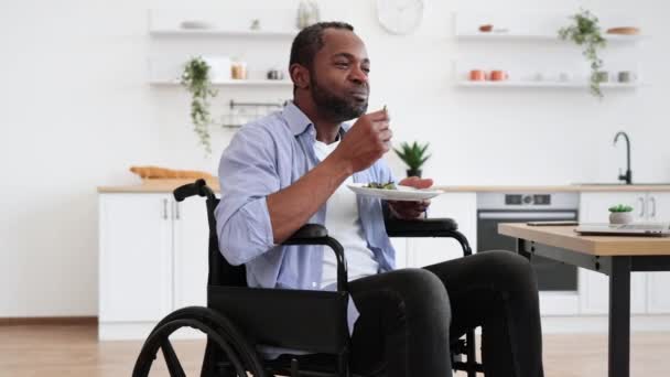 キッチン内部の食事中にコンピュータを使用して車椅子のアフリカのひげ付き男性 リモートオフィスに滞在しながら プレート上のベジタリアンサラダでエネルギーを増やすビジネスマネージャー — ストック動画