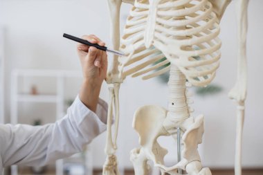 Tıbbi önlük giymiş kadın doktorun eli, insan vücudunun plastik modelinin kaburgalarını kalemle işaret ediyor. İskeletin detaylı yapısı hastada hastalık yerlerini gösteriyor..