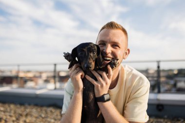 Sarı tişörtlü, çömelmiş, dachshund pençeleri gösteren mutlu bir adam, yüksek binaların çatısında evcil hayvanlara sarılıyor. Köpek ve sahibi arasındaki aşk kavramı.