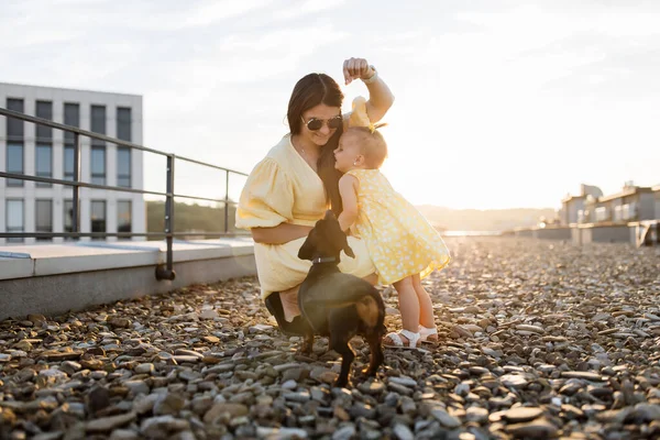 Çekici beyaz kadın, açık terasta küçük bir çocuk ve dachshund köpeğinin yanında çömeliyor. Küçük oynak kız annesine sokulurken bir kadın evcil hayvana kıyak yapıyor..