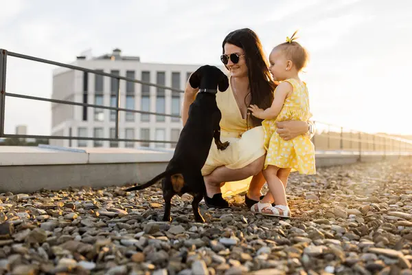 Attractive caucasian woman squatting down near small child and dachshund dog on stone surface on open area terrace. Little playful daughter huddling to mother while female giving treat to pet.
