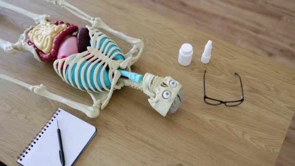 Μοντέλο Ανθρώπινου Σκελετού Όργανα Βρίσκεται Στο Τραπέζι Των Πανεπιστημίων Χειρουργικό — Αρχείο Βίντεο