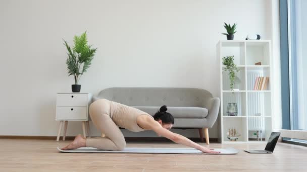 Volwassen Vrouwelijke Versterking Van Het Hele Lichaam Met Plank Poseren — Stockvideo