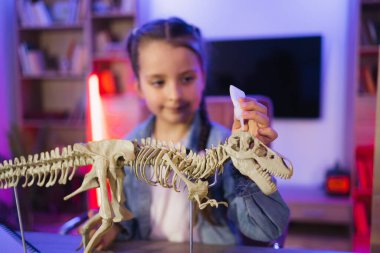 Masada oturmuş dinozorun iskeletini inceleyen günlük giysiler içinde altı yaşında beyaz bir bilim kadını. Mutlu anaokulu çocuğu kemikleri yapıştırıyor akşam evde Tyrannosaurus 'un modelini yapıyor..