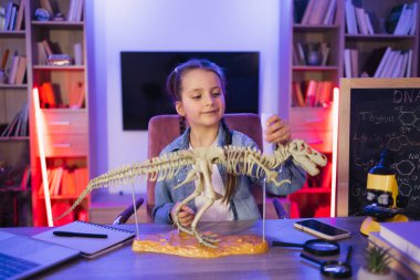 Kafkasyalı küçük kız akşamları oturma odasında fosil tarih öncesi hayvanlar üzerinde çalışıyor. Mutlu anaokulu çocuğu kemikleri yapıştırıyor akşam evde Tyrannosaurus 'un modelini yapıyor..