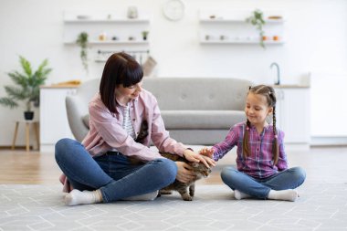 Evcil hayvanlarla sıcak bir ev ortamı. Anne ve kızı yerde oturmuş, parlak oturma odasında kedisiyle vakit geçiriyorlar. Mutlu aile bağları ve ev içi eğlence..