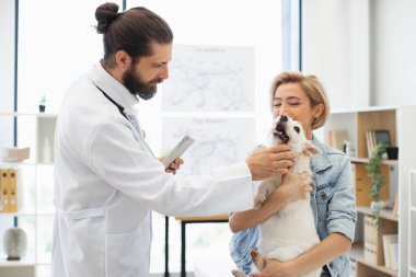 Veteriner rutin kontrolleri profesyonel bakımı gösteriyor. Köpeği seven kadın sahibi. Modern veteriner kliniği.