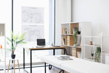 Hayvan anatomisi posterleri, inceleme masası, kitaplıklar ve dekorla dolu parlak ve modern veteriner muayene odası. Profesyonel ve rahat hayvan tedavisi için uygun düzenli alan.