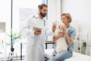 Veteriner rutin kontrolleri profesyonel bakımı gösteriyor. Köpeği seven kadın sahibi. Modern veteriner kliniği.