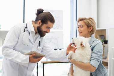 Erkek veteriner hafif klinik ortamında küçük bir köpeği incelerken kadın sahibi mutlu bir şekilde gözlemliyor. Olay yeri, hayvan bakımı, güven ve profesyonel hayvan sağlığı hizmetlerini ön plana çıkarıyor.