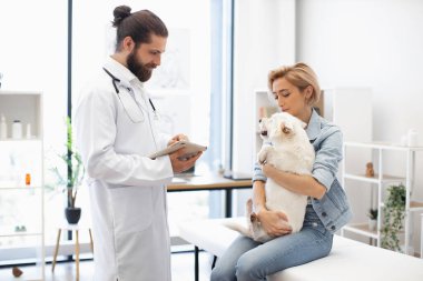 Beyaz önlüklü erkek veteriner klinikte genç yetişkin bir kadının tuttuğu köpeği muayene ediyor. Modern ışık iç tasarımı. Etkileşim, hayvan sağlığı, ilgi ilişkisi, profesyonel hizmet.