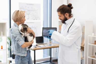 Veteriner, evcil kedisini içeride tutan genç bir kadına röntgen görüntüsünü açıklıyor. Görüntü sağlık hizmetleri, veteriner hizmetleri ve hayvan sağlığı hizmetleri için uygundur.