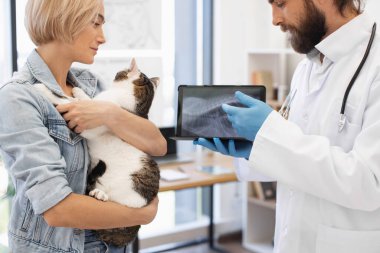 Klinikteki veteriner, röntgen sonuçlarını elinde kedisi olan genç yetişkin kadınlara açıklıyor. Görüntü, veteriner bakımı, hayvan sağlığı, şefkat ve evcil bir kediye odaklı tıbbi bakım portreleri.