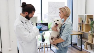 Veteriner klinikte elinde küçük beyaz bir köpek tutan genç bir kadının röntgen sonuçlarını gösteriyor. Görüntü bakım, güven ve veteriner tıbbını gösteriyor. Günlük kıyafet giyen bir kadın, eldivenli üniformalı bir veteriner..