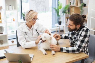 Veteriner veteriner, veteriner kliniğinde genç yetişkin bir erkekle küçük beyaz köpek üzerinde kontrol yapıyor.