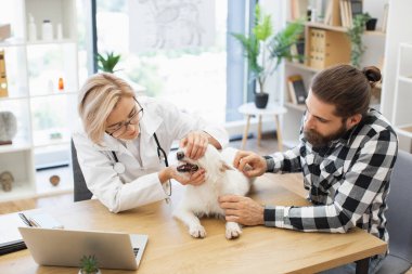Veteriner, modern klinikte hayvan sağlığı hizmetini vurgulayan bitki ve ekipmanlarla beyaz köpeği ve genç yetişkin erkek sahibini muayene ediyor.